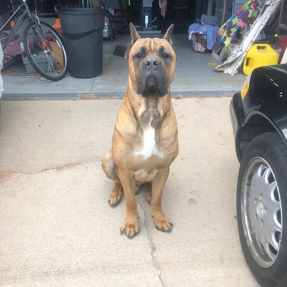 Meet your Posher, Jordan - Picture 1 of 1